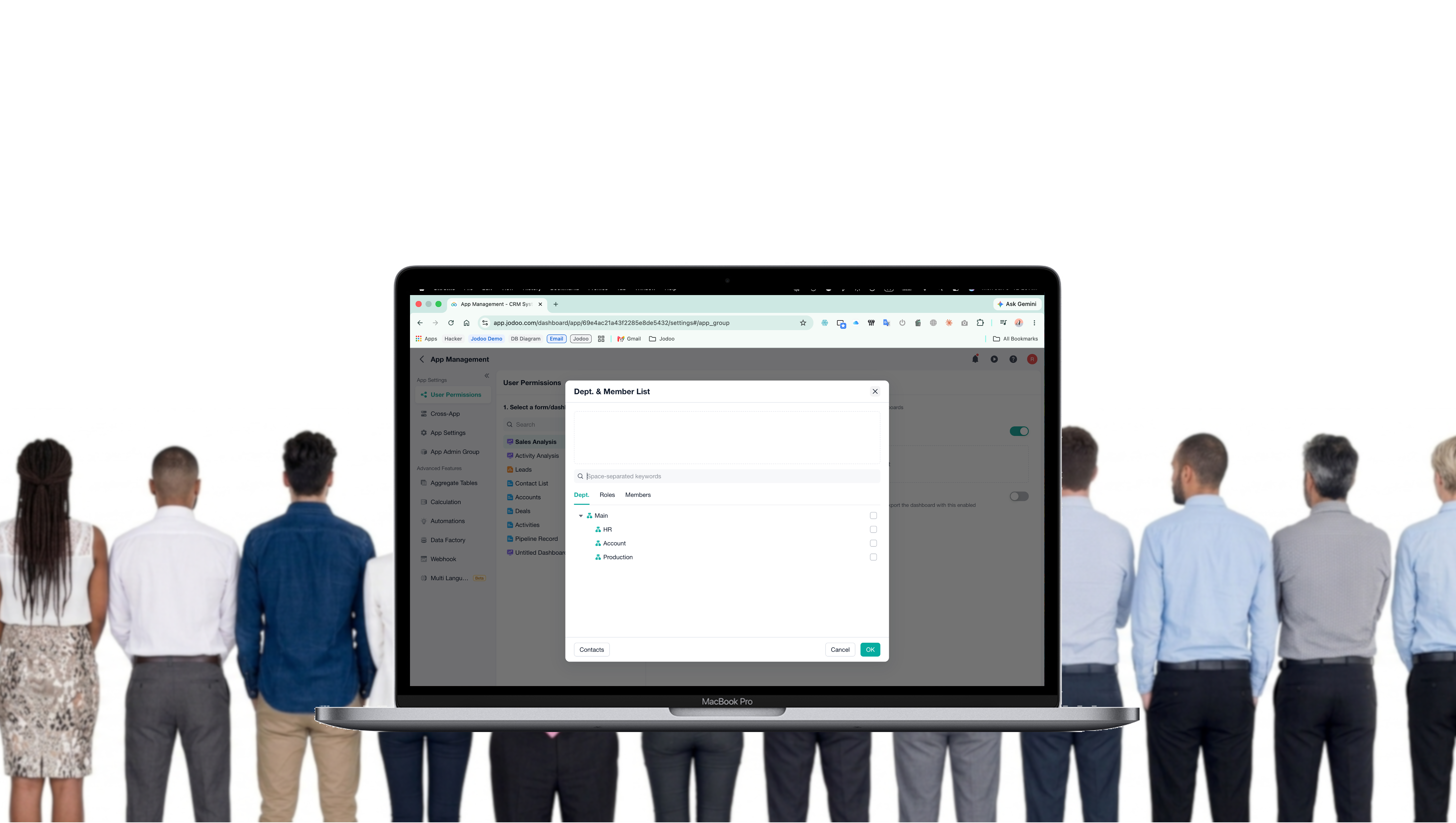 User permission settings in Jodoo